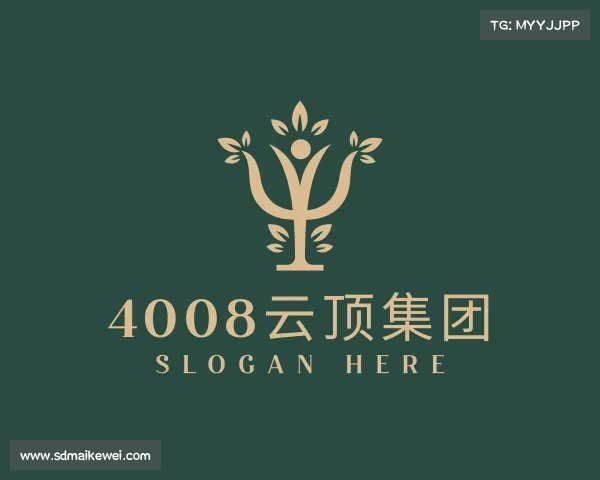 解读4008云顶集团
